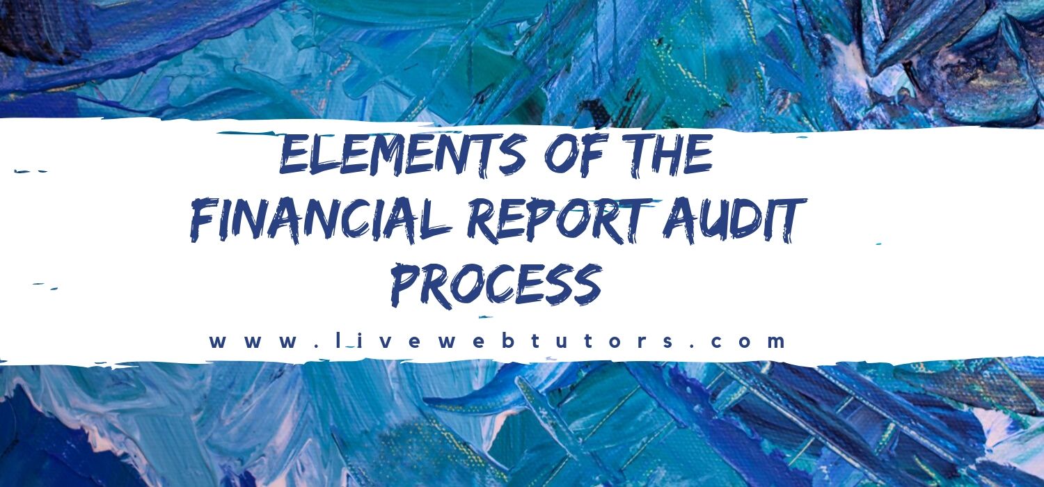 Elements of the Financial Report Audit Process